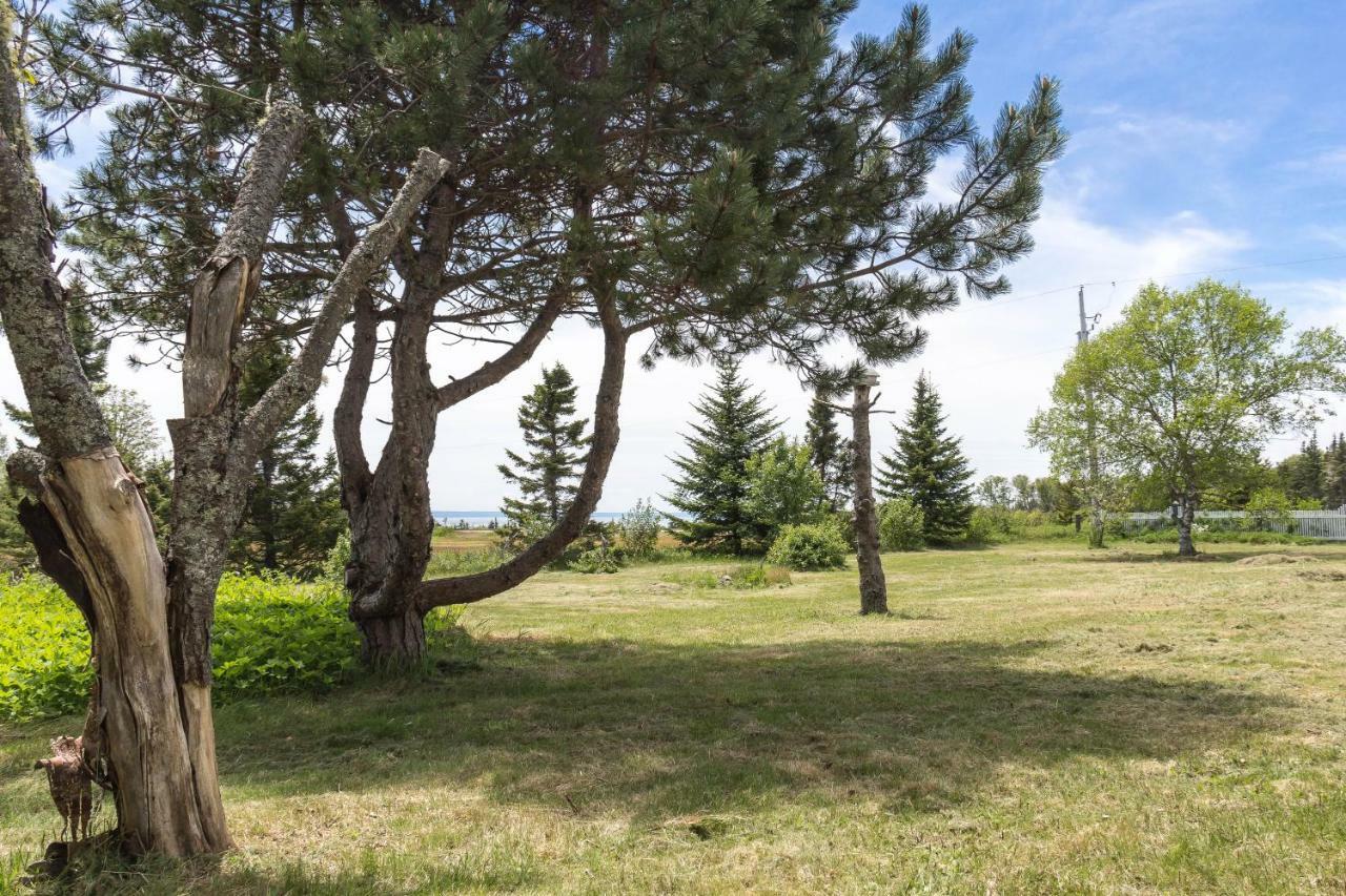 Fox Point Inn Parrsboro Eksteriør bilde